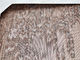 Χαλκού τοποθετημένη σε στρώματα γυαλί καλωδίων επένδυση προσόψεων πλέγματος αρχιτεκτονική
