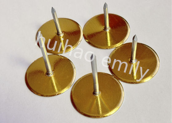 38mm Ζυγισμένο Χάλυβα Νερό Liner Cup Head Πιν με Χρυσό Χαρτί